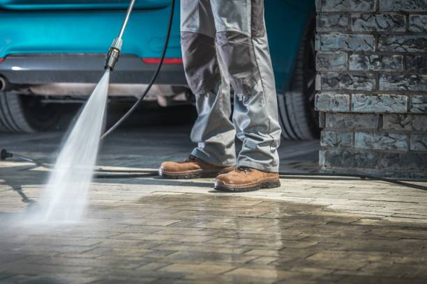 Best Dumpster Area Cleaning  in Adamsville, TN